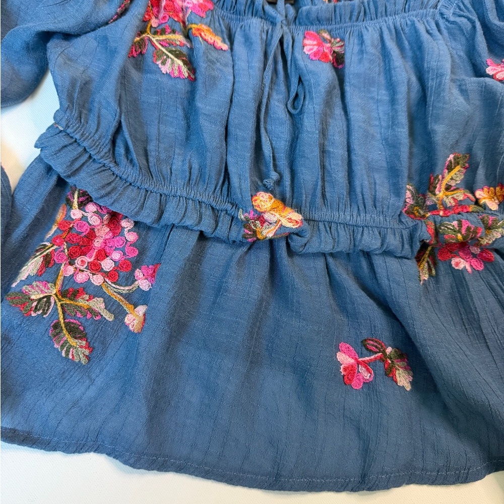 Wild Moss Blue Embroidered Boho Off Shoulder Peasant Blouse Floral Top size L - Picture 4 of 7